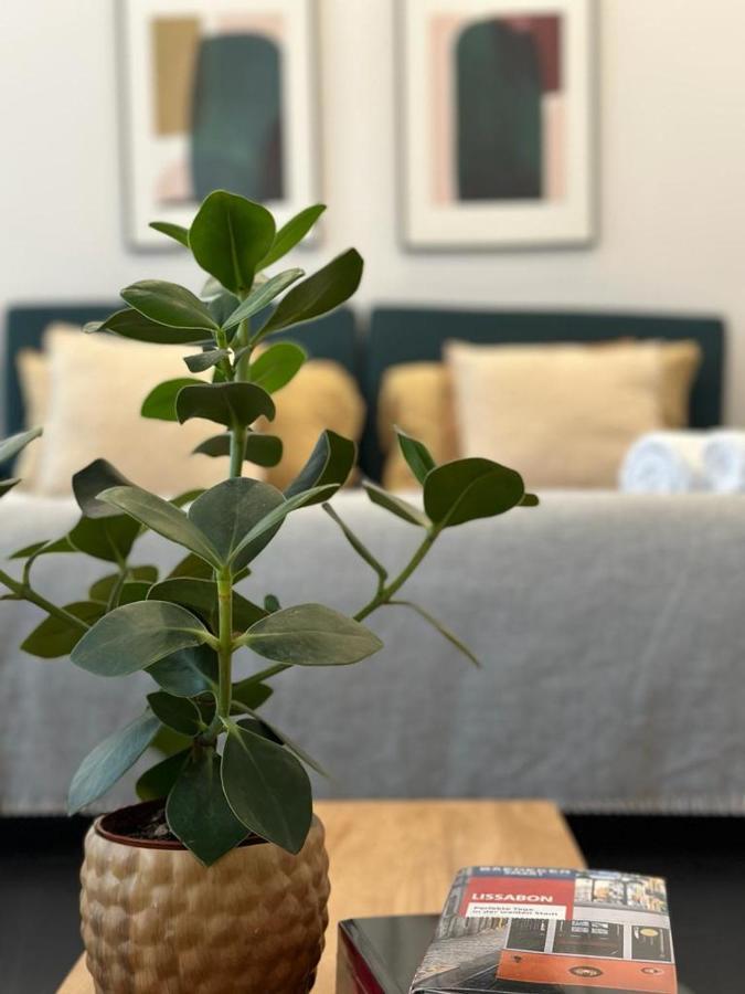 Luxuoso Com Varanda Em Homestay